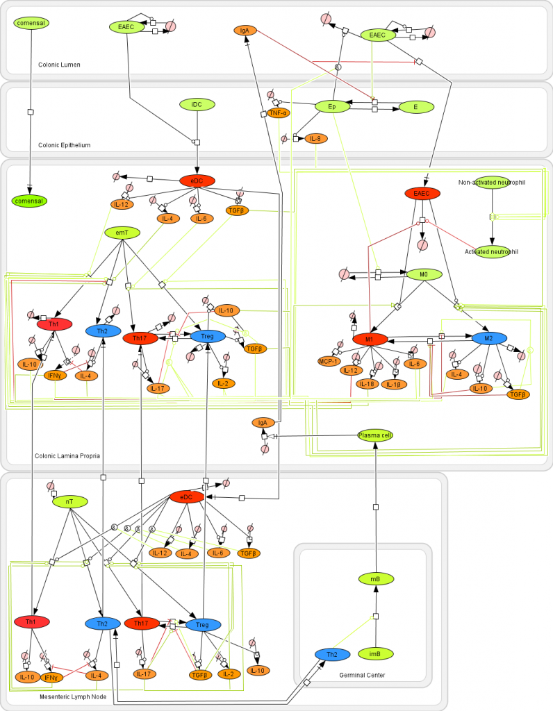 EAEC Model